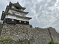 熊本城と丸亀城